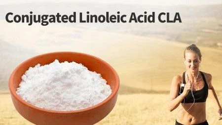 Conjugated Linoleic Acid Powder