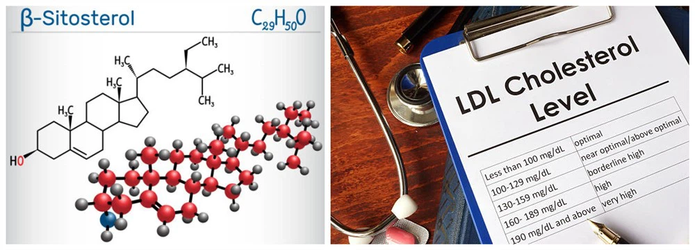 Chemical formula of sterols Chemical formula of sterols