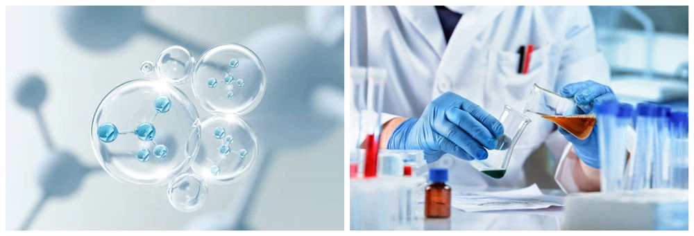 synthesizing plant sterol esters synthesizing plant sterol esters