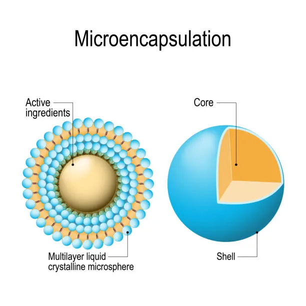 Microencapsulation of DHA Microencapsulation of DHA