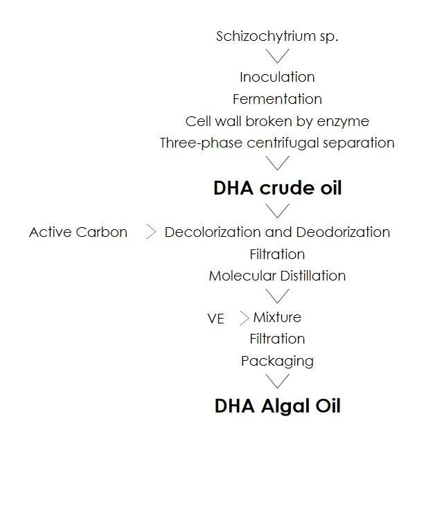 oil flow chart