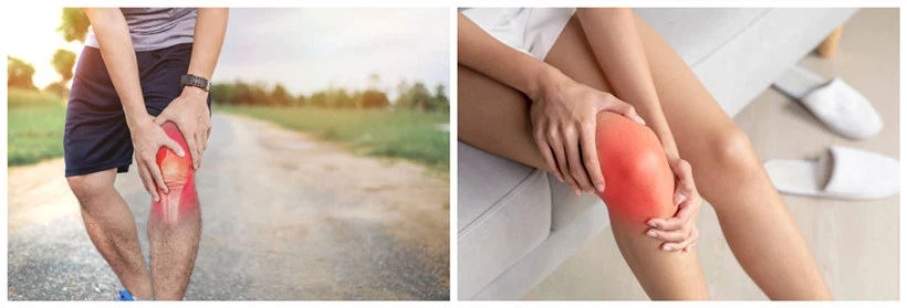 joint disease joint disease