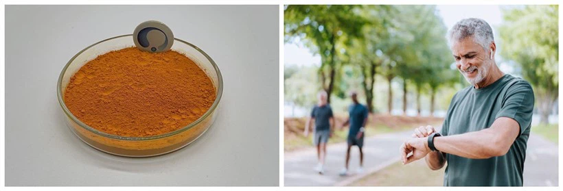 HSF helps with joint disease HSF helps with joint disease