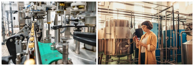 fermentation factory fermentation factory