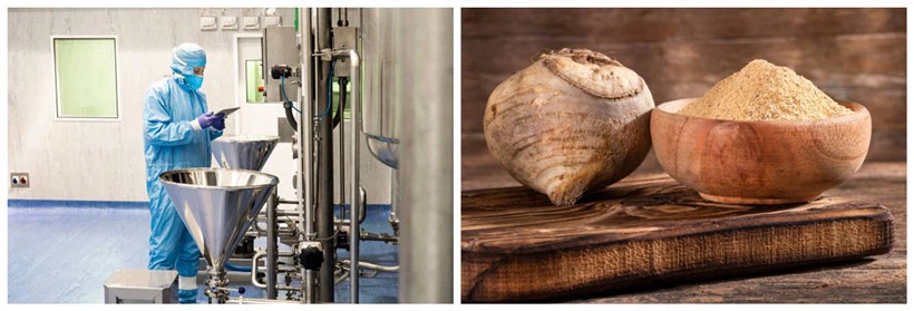 Fermented Maca Powder Fermented Maca Powder