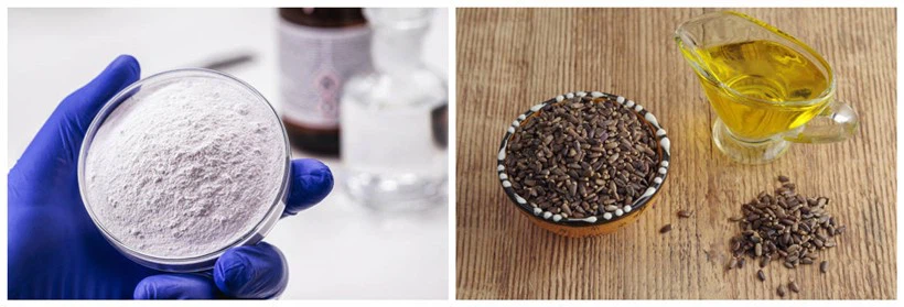 Milk Thistle Seed Oil Powder Milk Thistle Seed Oil Powder