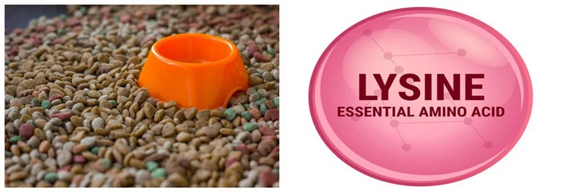 Animal food Animal food