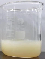 Liposomales Vitamin C